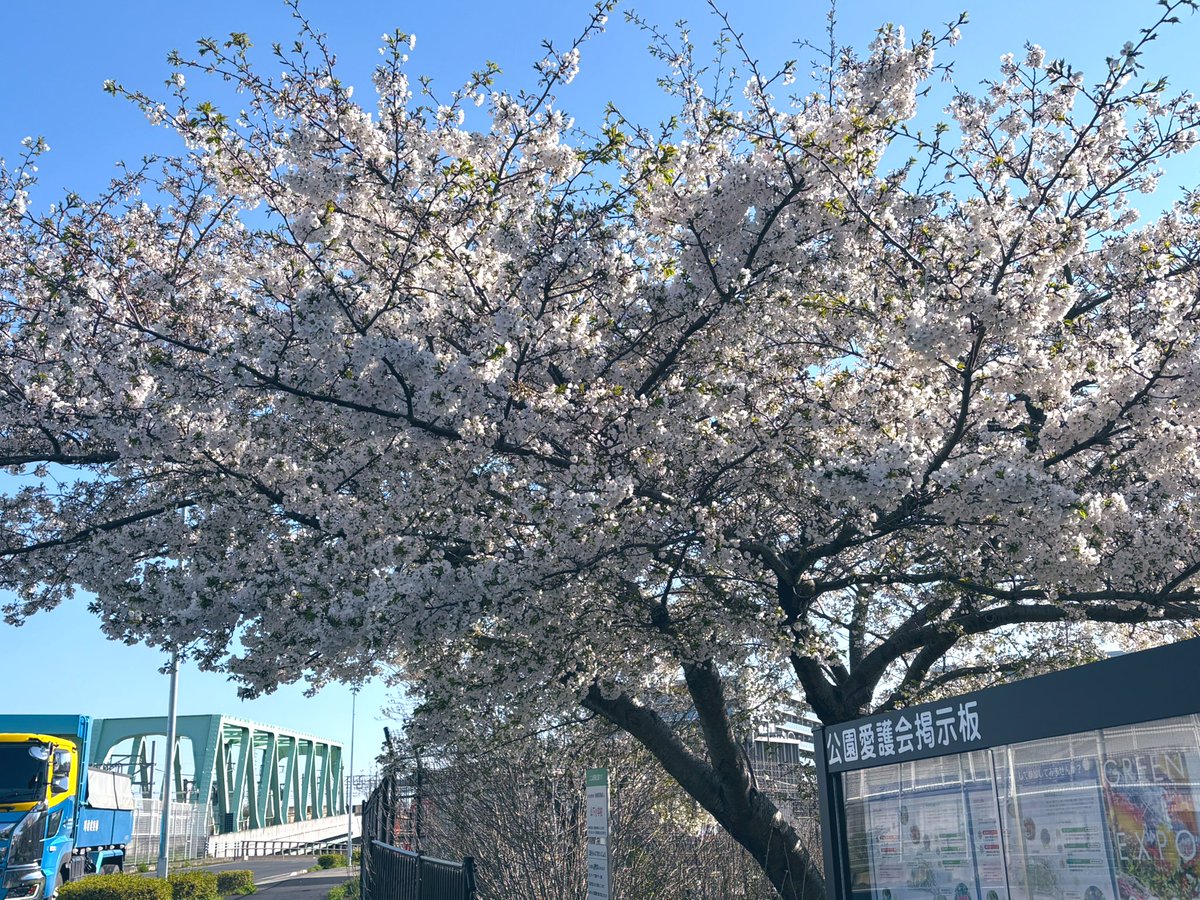 とも🍏4/18いみゅ🧑‍🚀👼とり tweet media