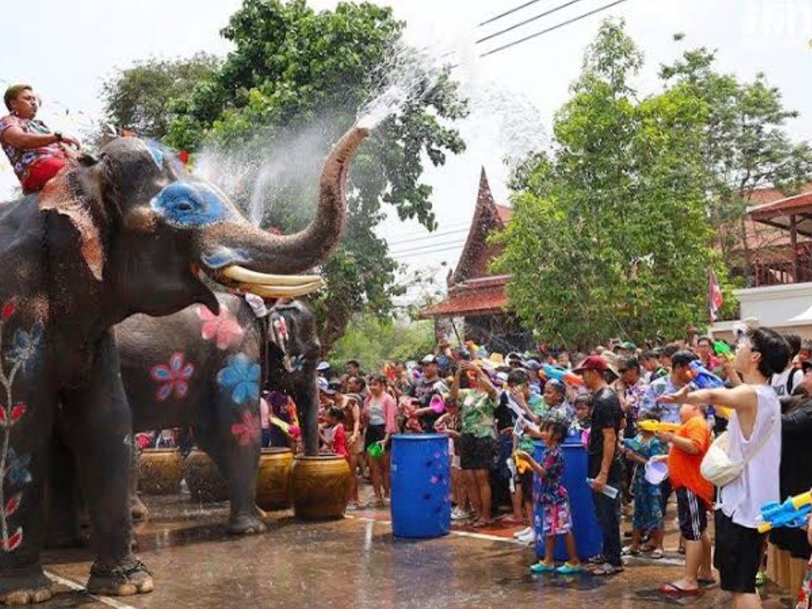 【公式】VELTRA(ベルトラ) tweet media