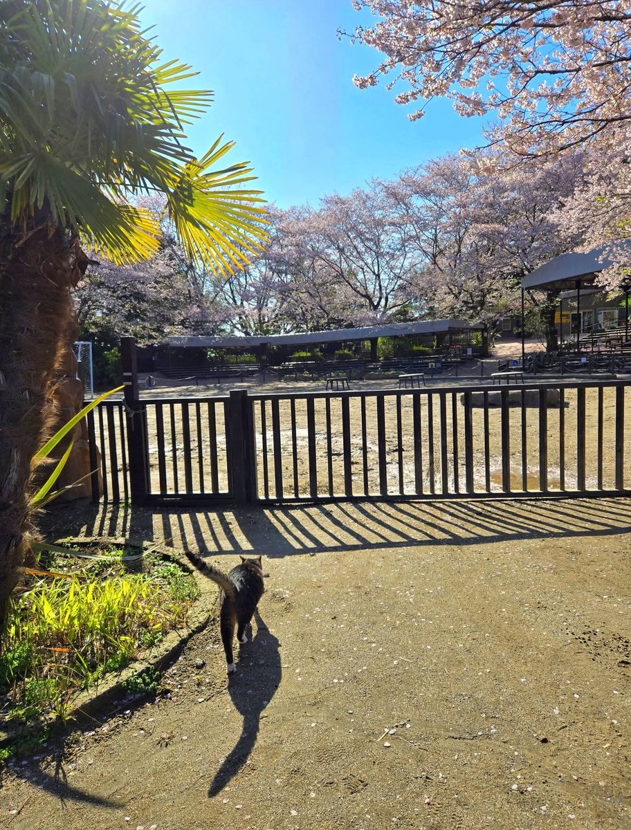 市原ぞうの国・サユリワールド【公式】 tweet media