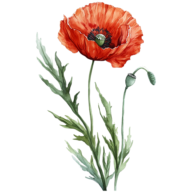 Kelese Handy tweet media