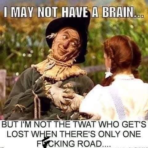 Mike Mills 🐝 tweet media