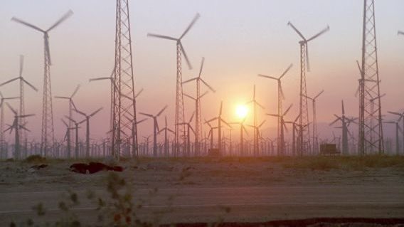 Cinema Joy tweet media