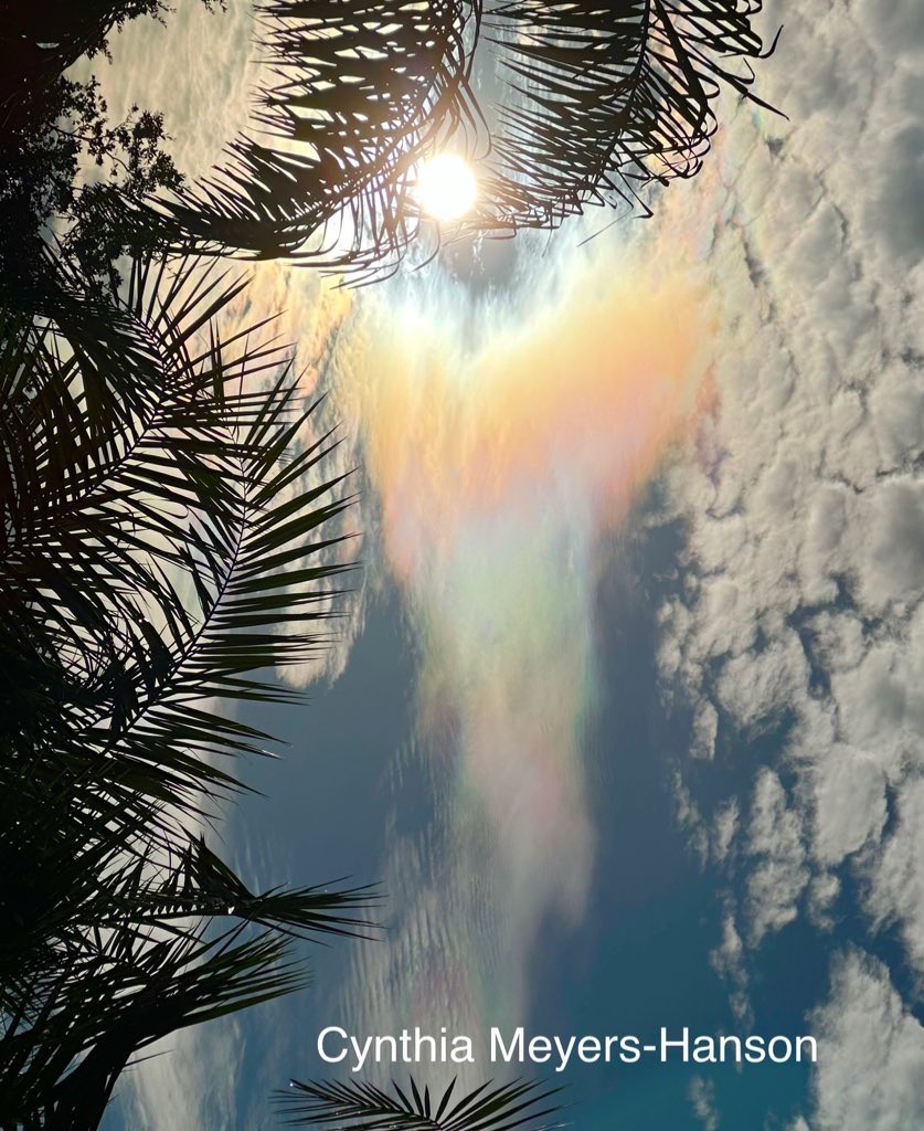 Sky-Princess-Cindy tweet media