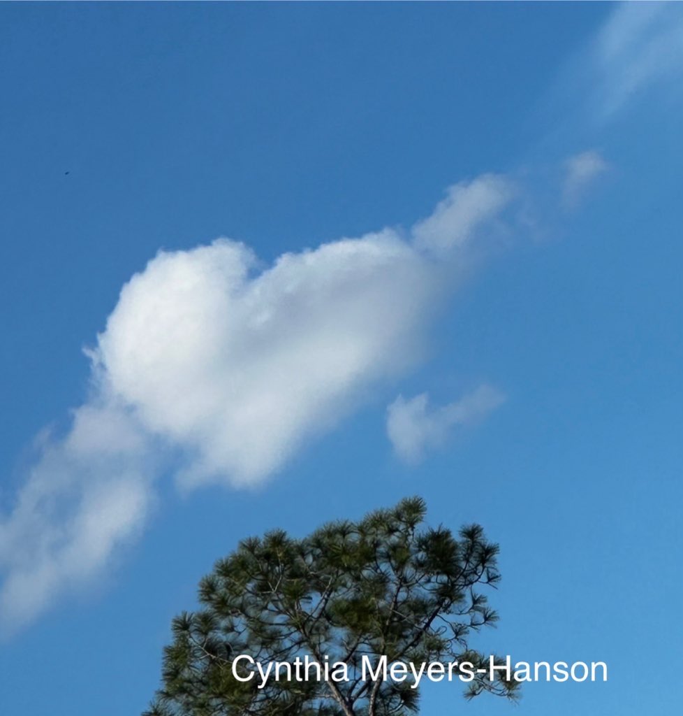 Sky-Princess-Cindy tweet media