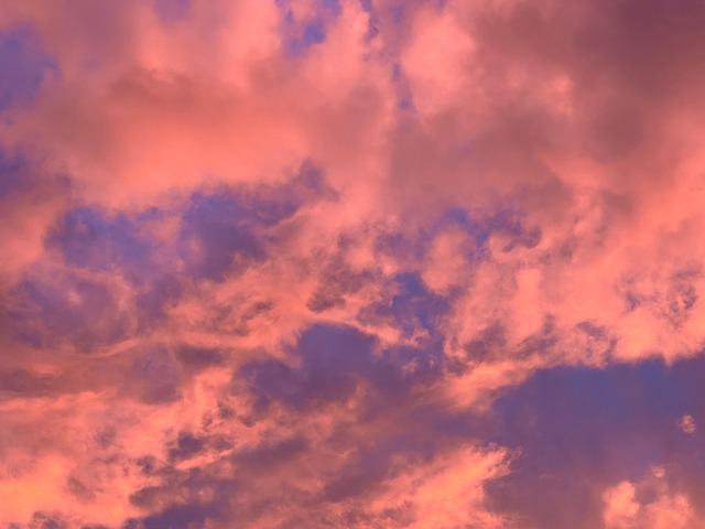 Chloe Munoz tweet media