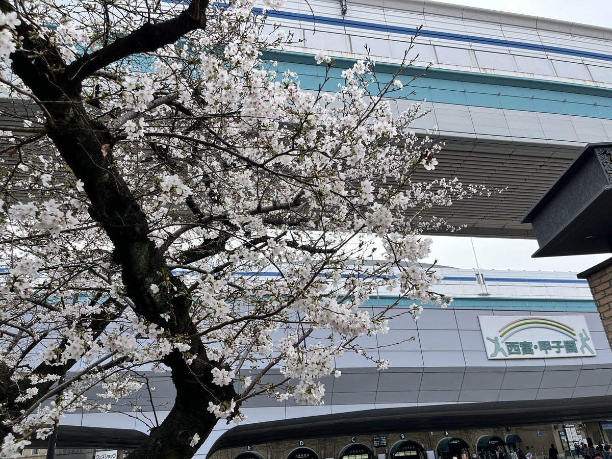 ごえちゃん tweet media