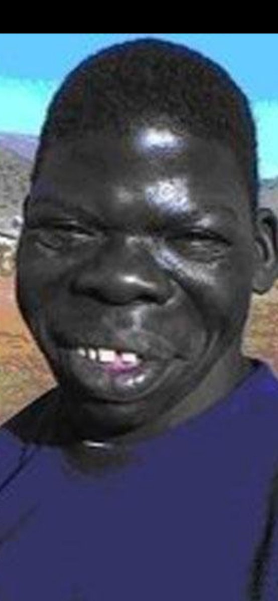 Perry P. tweet media