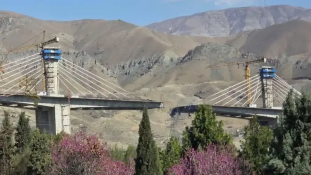 CONSTITUTIONAL REPUBLIC WARRIOR tweet media