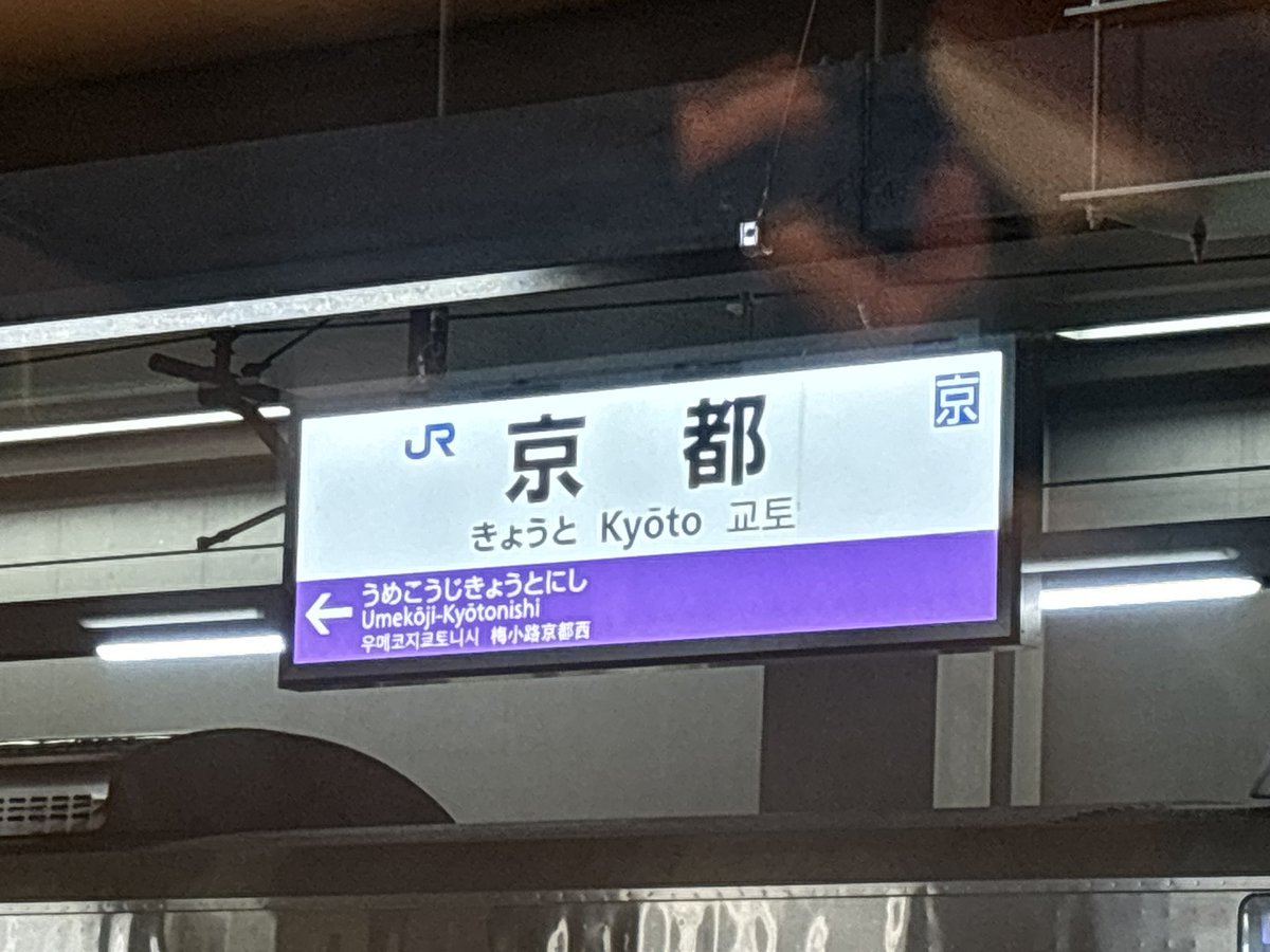 🌷うさぎ🐰🌷(音痴) tweet media