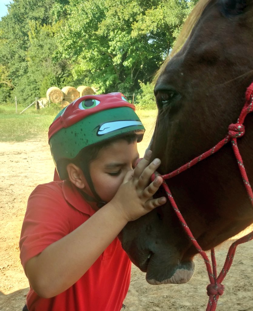 DIEGO RANCH INC 🇺🇸 tweet media