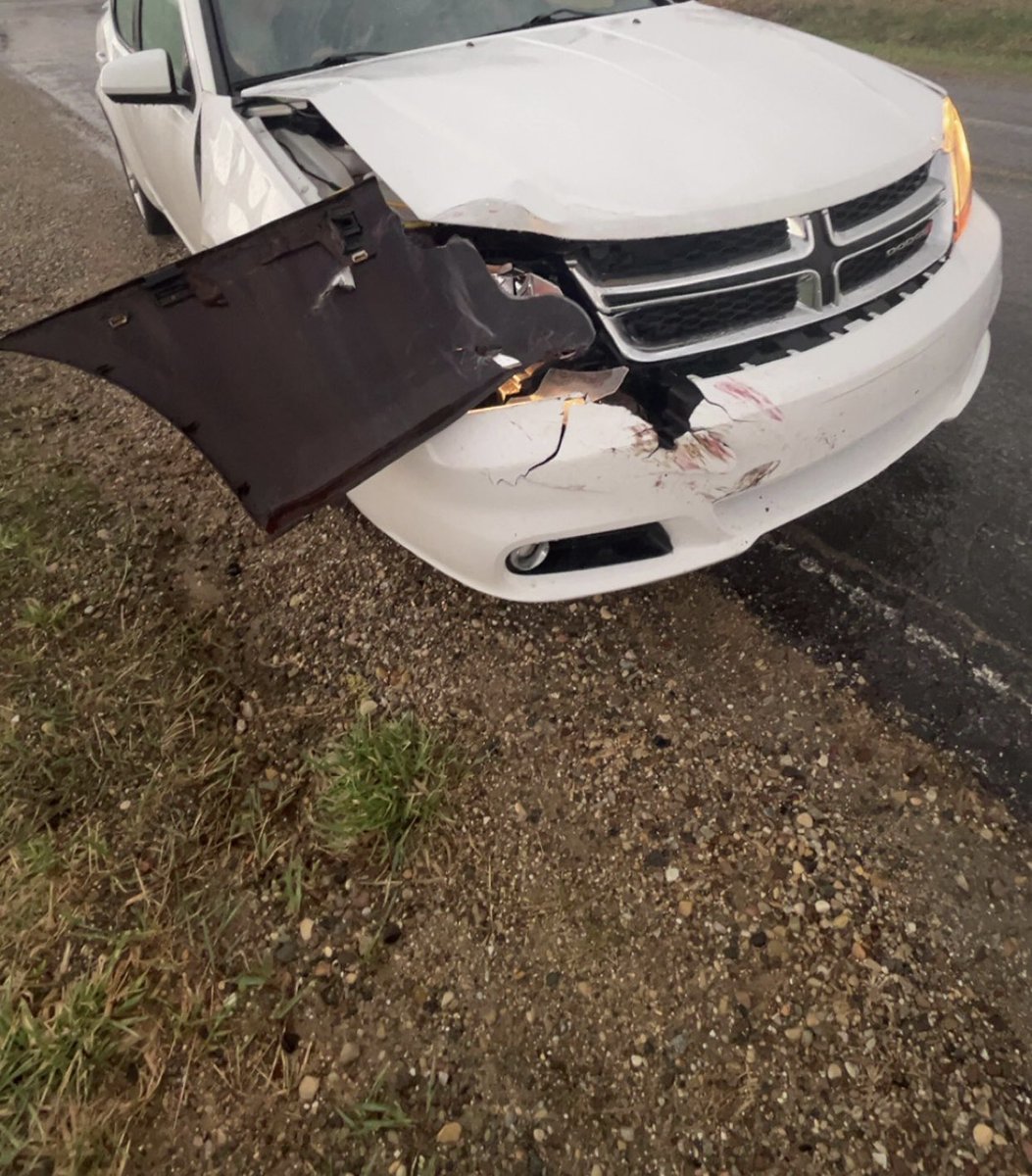 alex 💫 tweet media