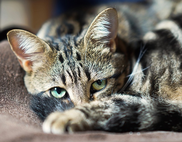 Travis Lurten tweet media