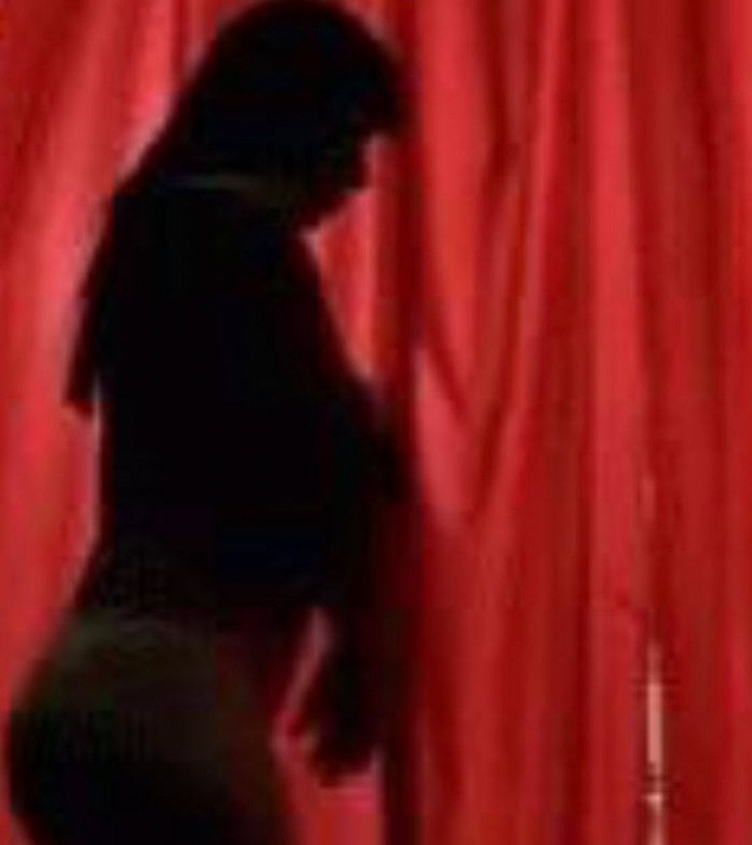 zé brasilidade tweet media