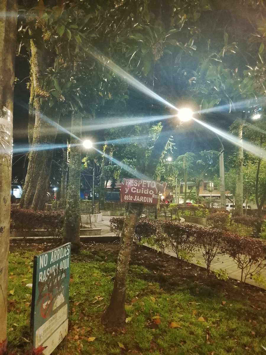 °•\‘~’/orlando\•°•/ tweet media