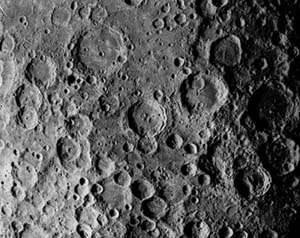 Melosyna  tweet media