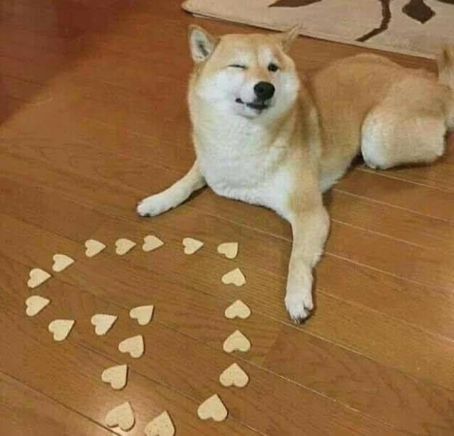 𝗂𝗋𝗂𝖾 𝗀𝗋𝖾𝗏𝗂. tweet media