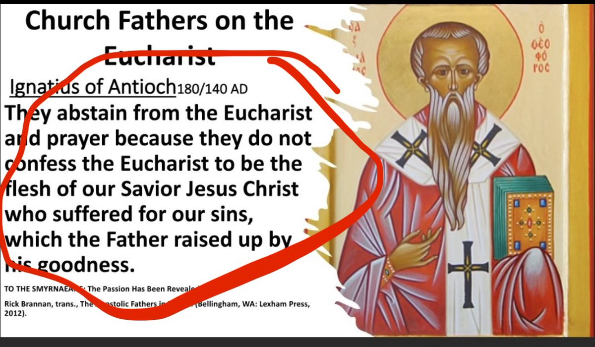 Johnny B. Goode ☧🇻🇦 tweet media