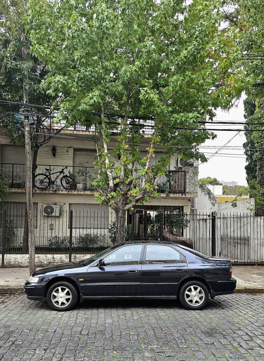 Roman Brunori tweet media