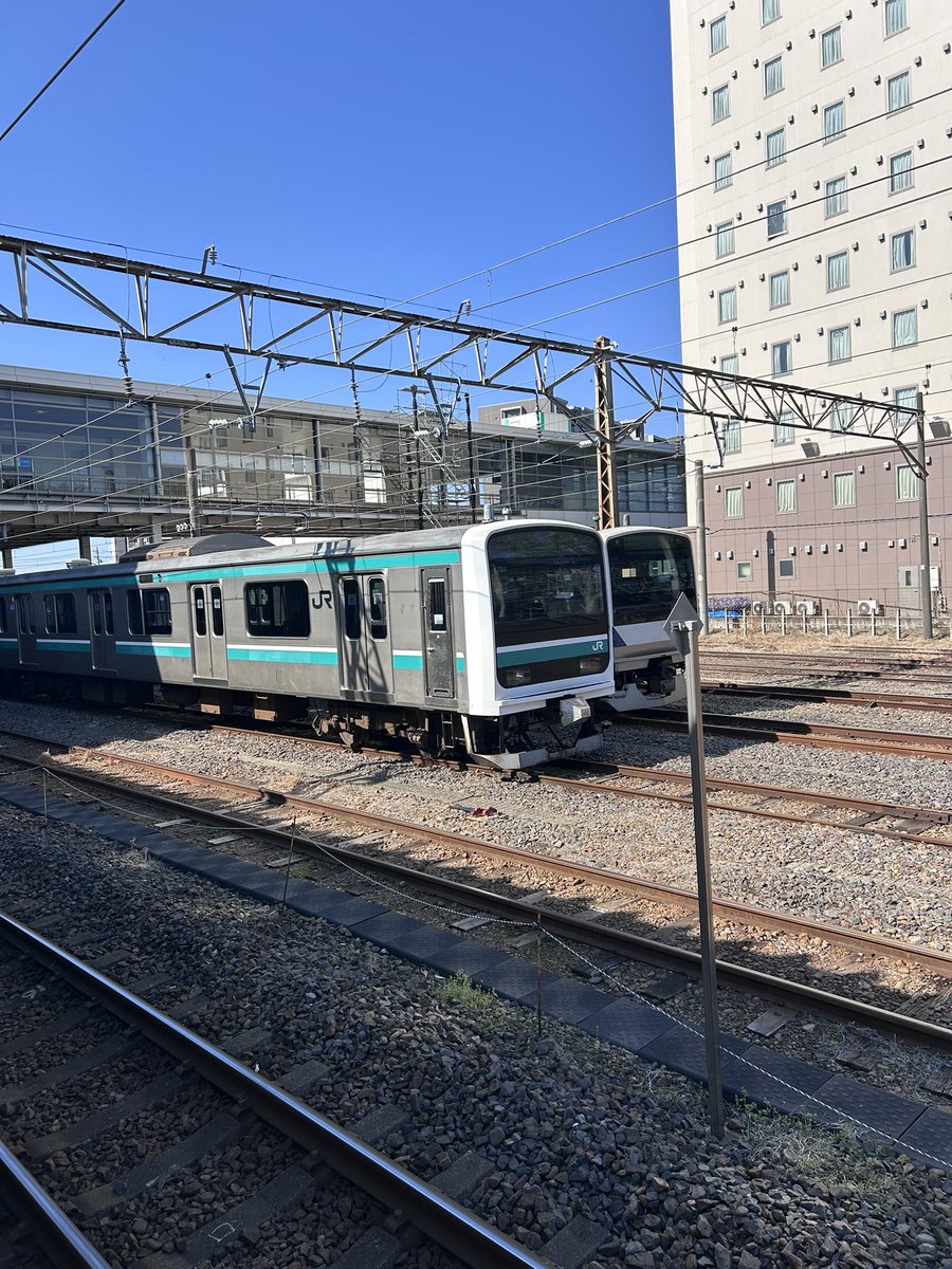 転職活動中の一七(かずな)→次:はつじゅー16→offf tweet media