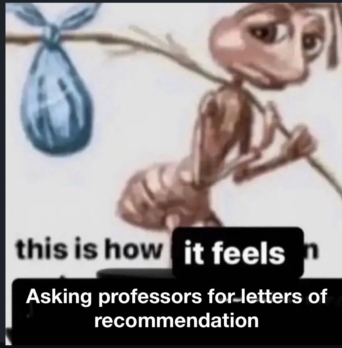 philosophy memes 🔗 tweet media