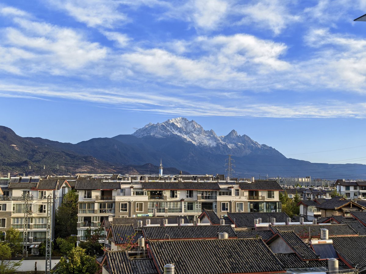 丽江洛洛 tweet media