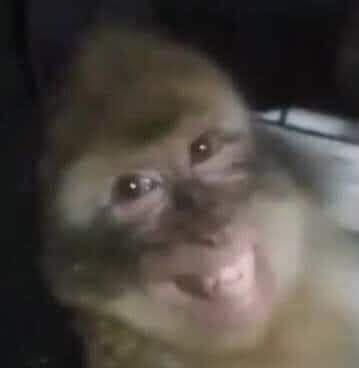 иath*̣v*̣dad👻🌷 tweet media