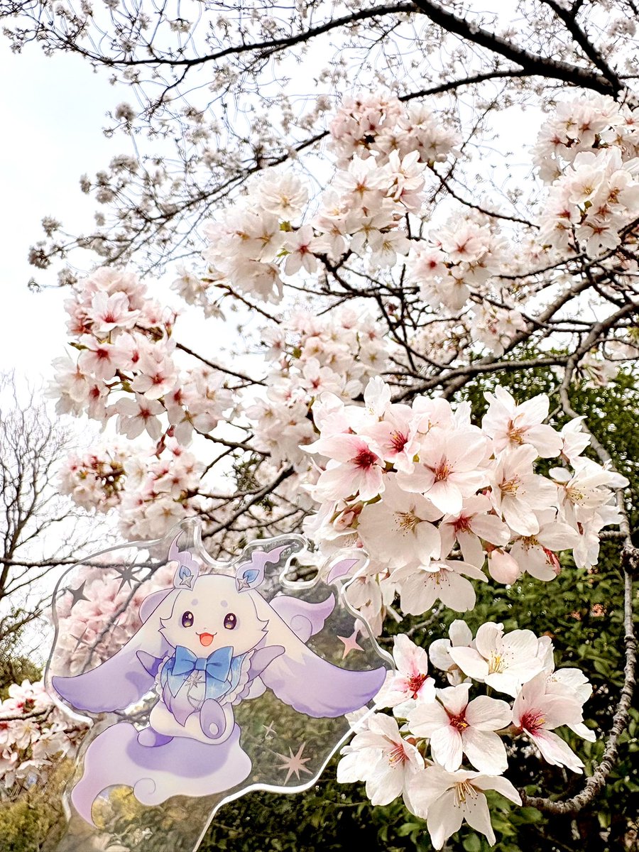 ぱ☆む🥨🍚 tweet media