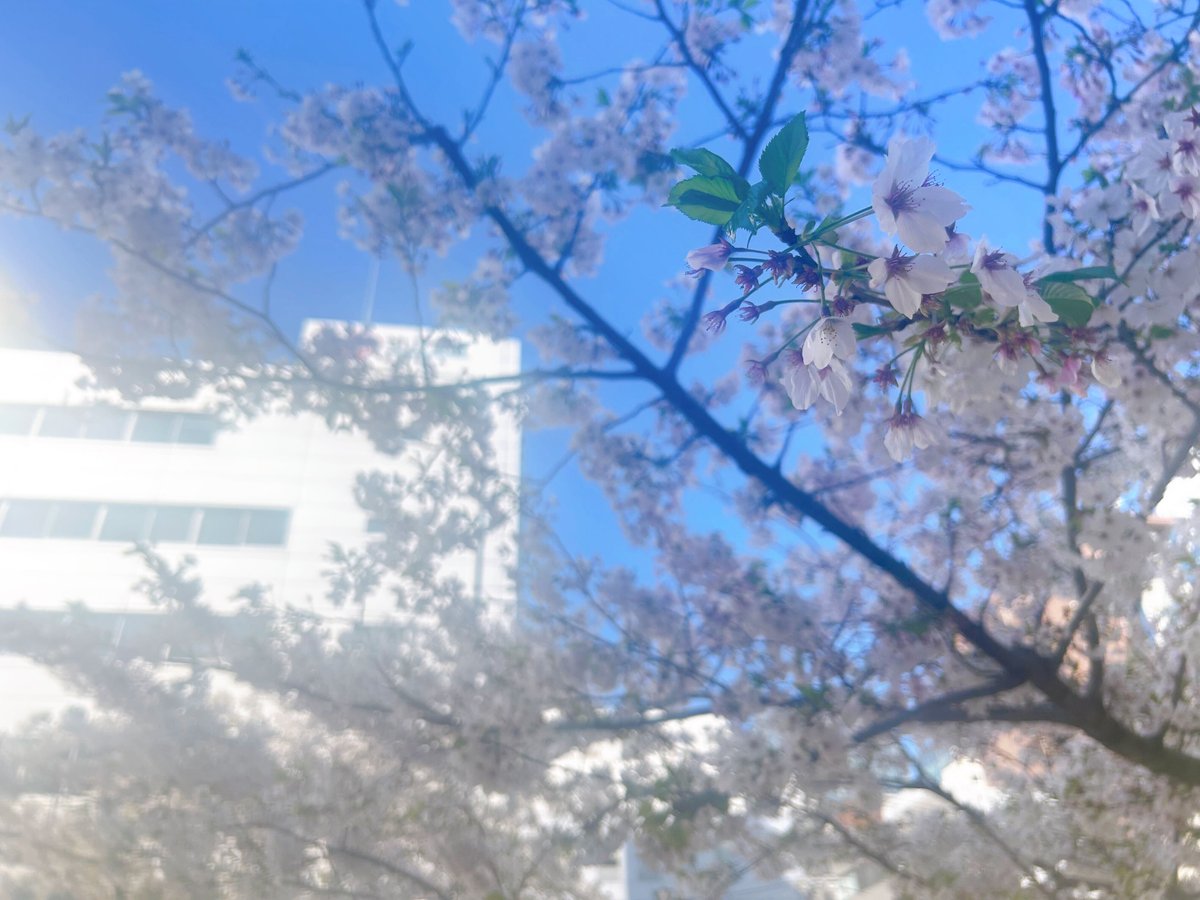 エフティーエス株式会社 tweet media