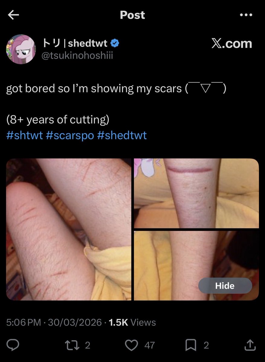 Jeet Junkie tweet media