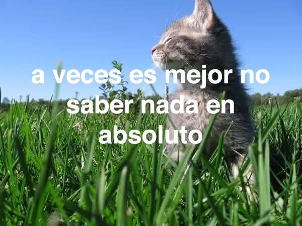 Salvador Iglesias Jr (@javisness) on Twitter photo 