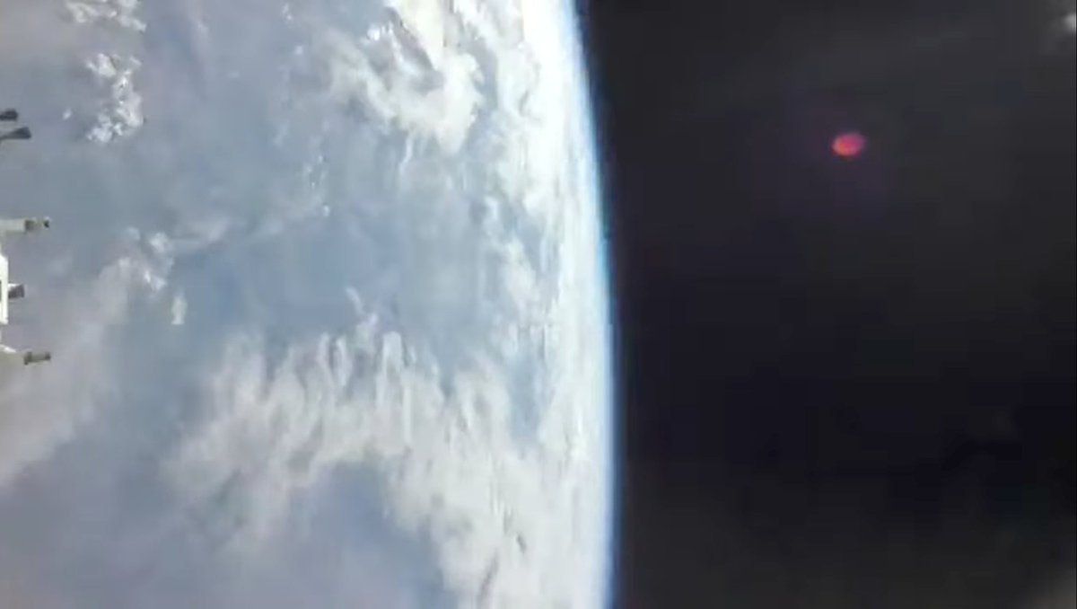 Arypie 🐄💫 | Extraterrestrial in human form!🛸 tweet media