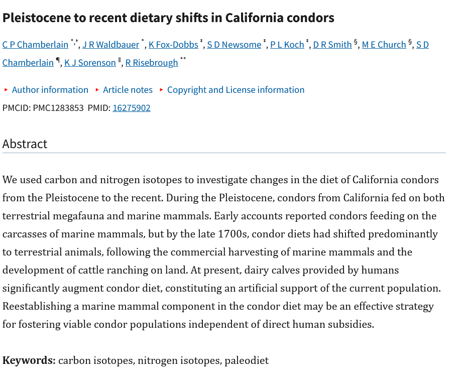 CenozoicDragons's tweet photo. I would have gone with them largely being whale carcass eaters like the California Condor since that's one of the possible explanations for why the Condor survived while the Teratorns went extinct. But with the dragons being active predators hunting bison is probably sufficient. https://t.co/K7qJhDyO2L