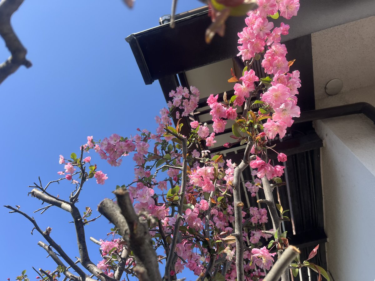 マッチボックス tweet media