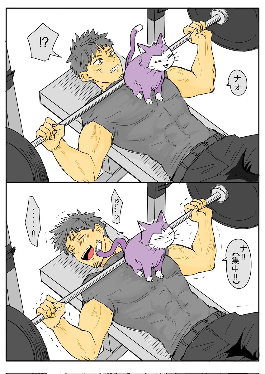 筋肉練習カフとほしにゃ