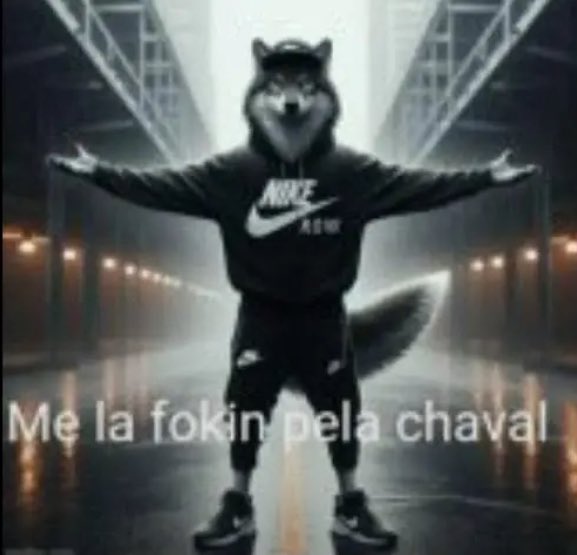 Cansveen's tweet photo. @GearFranck Pues yo si se inglés y aún así estoy consciente de que Toby no tiene una excusa razonable para no traducir su juego ya que recursos no le faltan, incluso podría contratar a los creadores de los mods en español si tanto problema le causa tener que adaptar los chistes https://t.co/BKA4k1oxme
