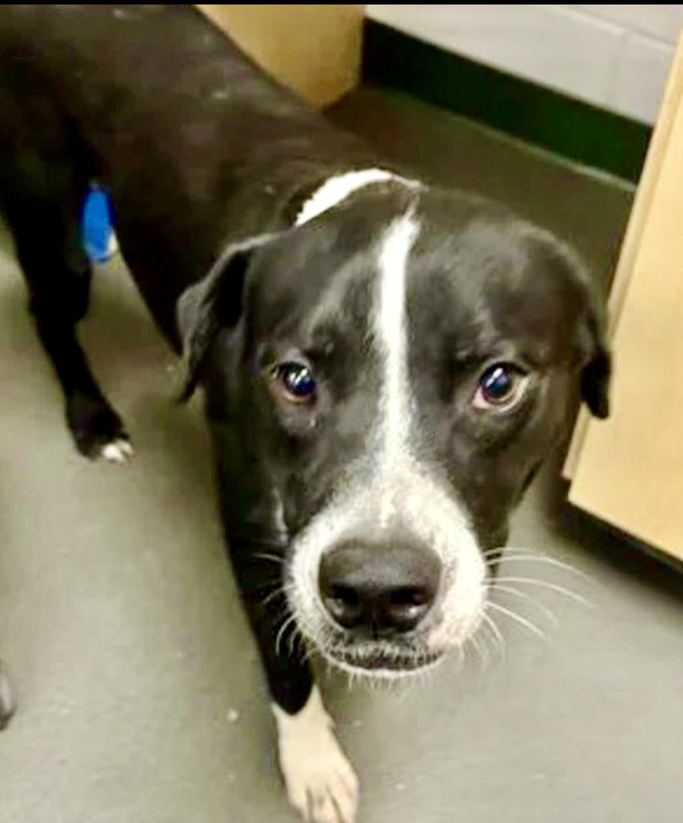 Cheryl Ramirez tweet media