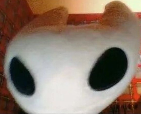 ♱ Acervo Intervitae ♱ tweet media