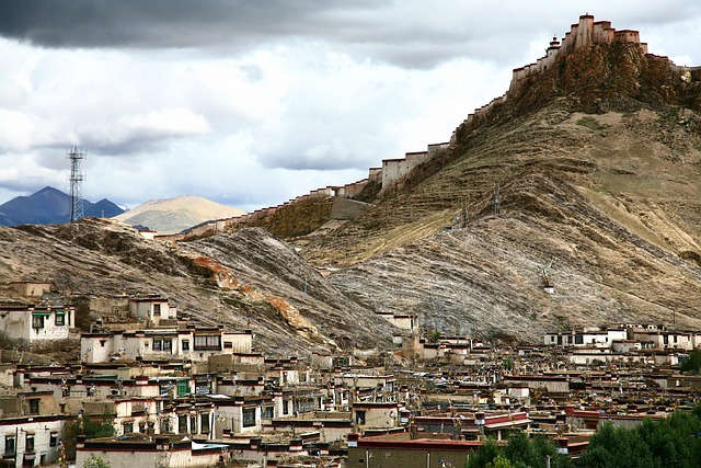 Eden Allford tweet media