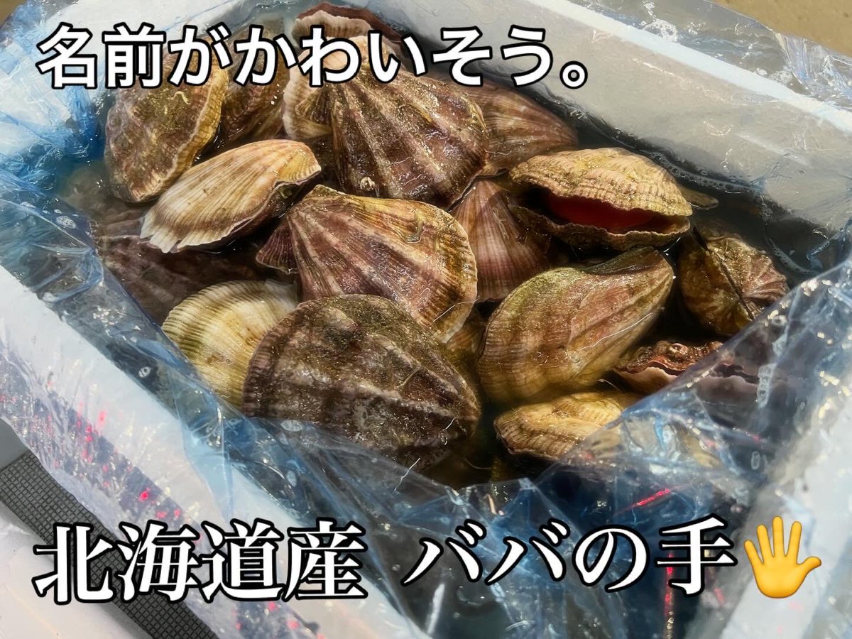 rausuplus's tweet photo. おはようございます☀️
今の札幌市は晴れ✨
本日も海明け毛蟹入荷してます🦀
今日までの賞味期限のものは破格で出します😏
毛蟹ダルマ、ばばの手貝入荷しております♪

本日も宜しくお願いします👍

#企業公式相互フォロー 
#企業公式が毎朝地元の天気を言い合う https://t.co/XiRkQhyFlB