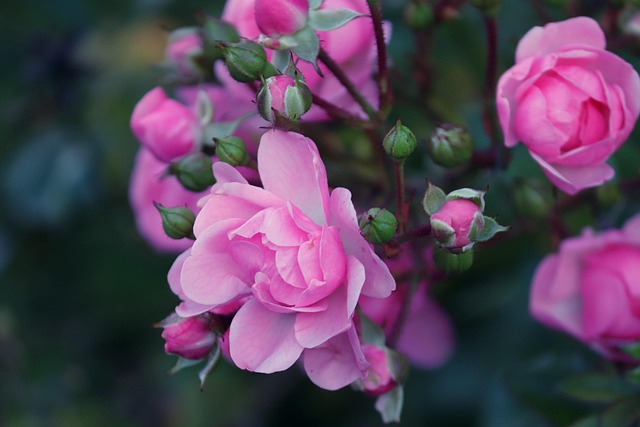 Christina Davis tweet media