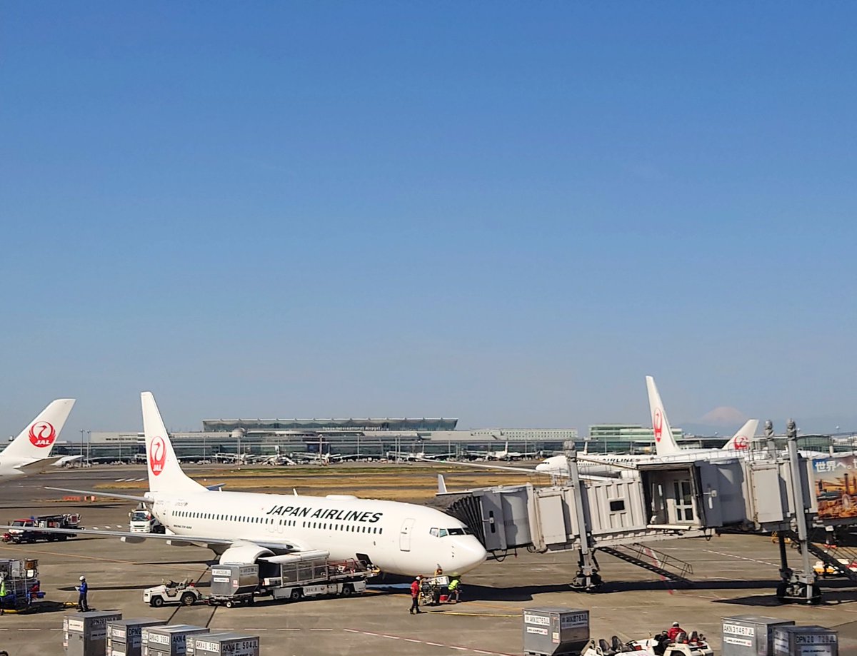 320_bar's tweet photo. 富士山とたくさんのJAL機✈️ https://t.co/O8bS98NxCh