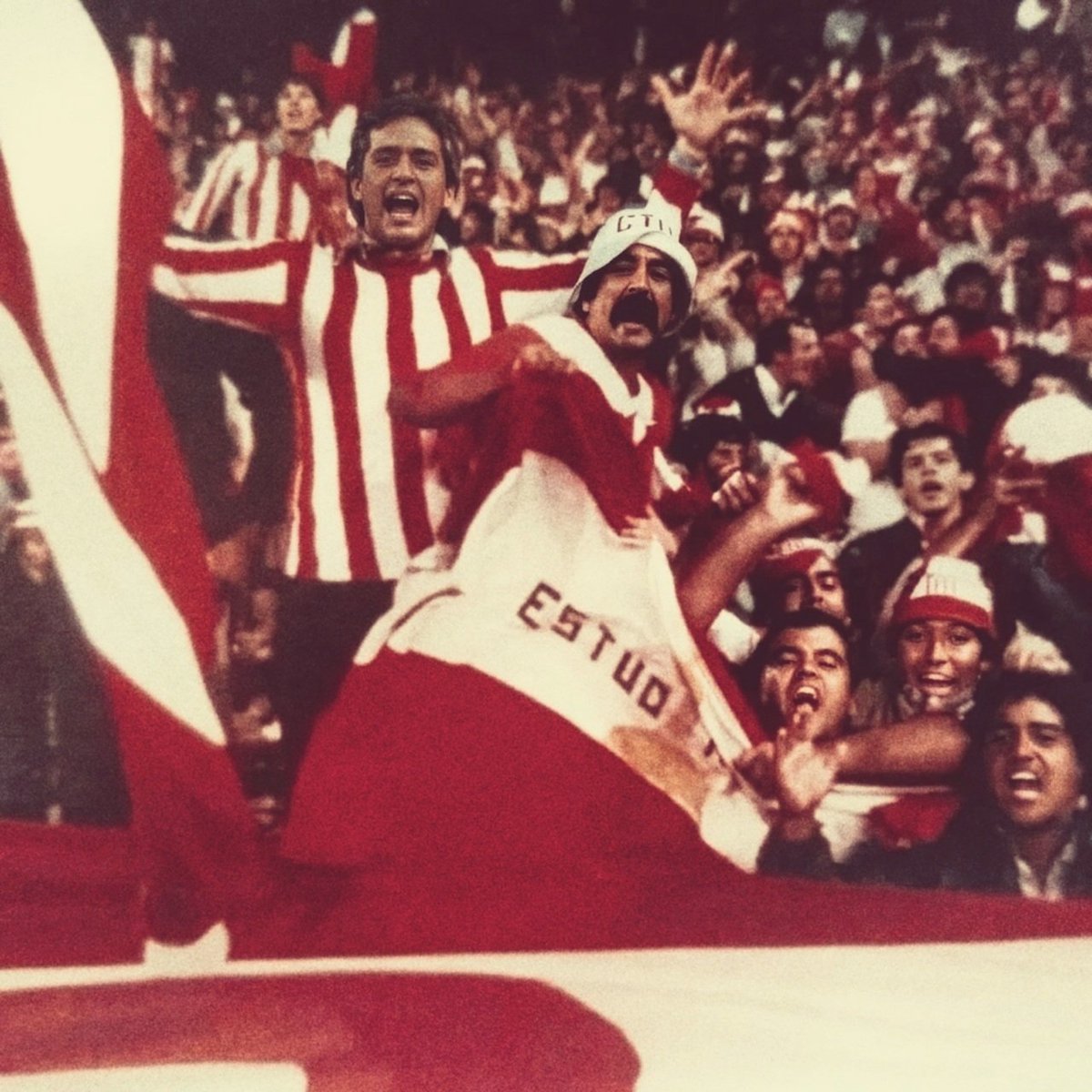 Camiseta Pincha tweet media