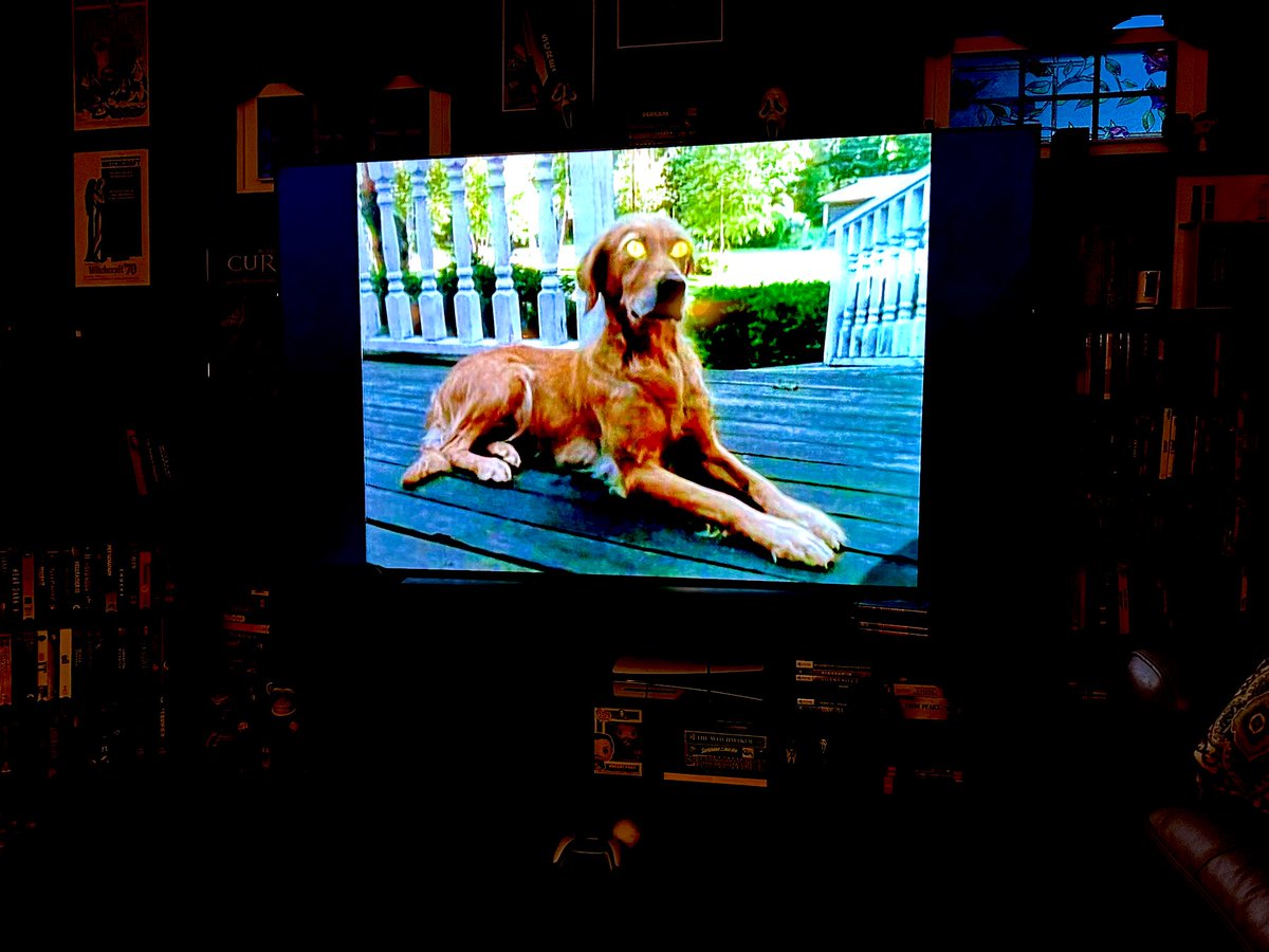 Alonna Lee 🎃 tweet media