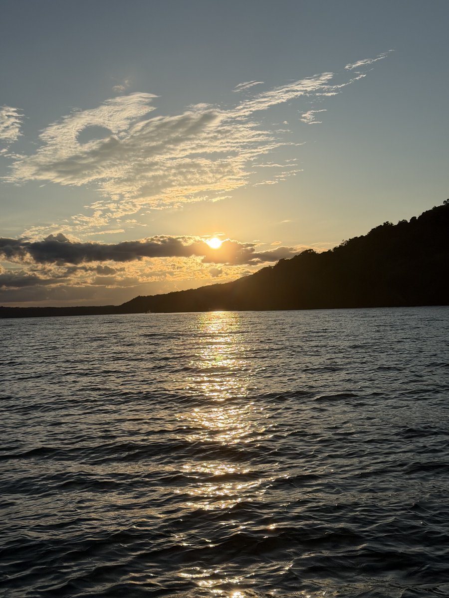 Carlos Fion tweet media