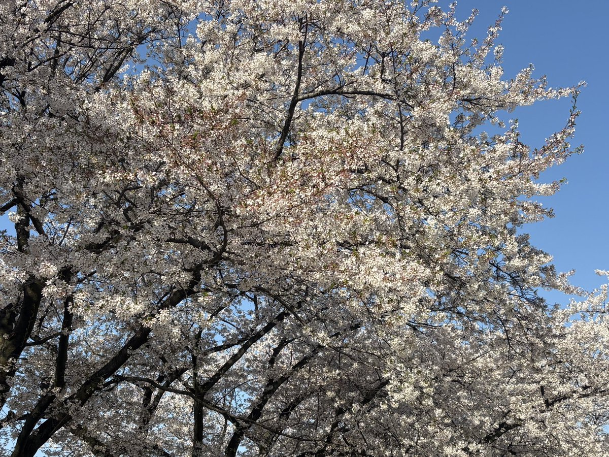 毎年恒例にしたい