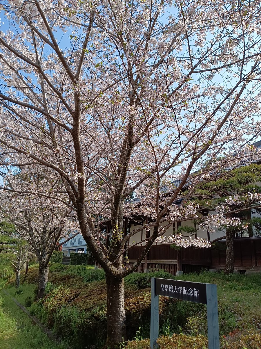 瑞彩🍀🩸🐯 tweet media