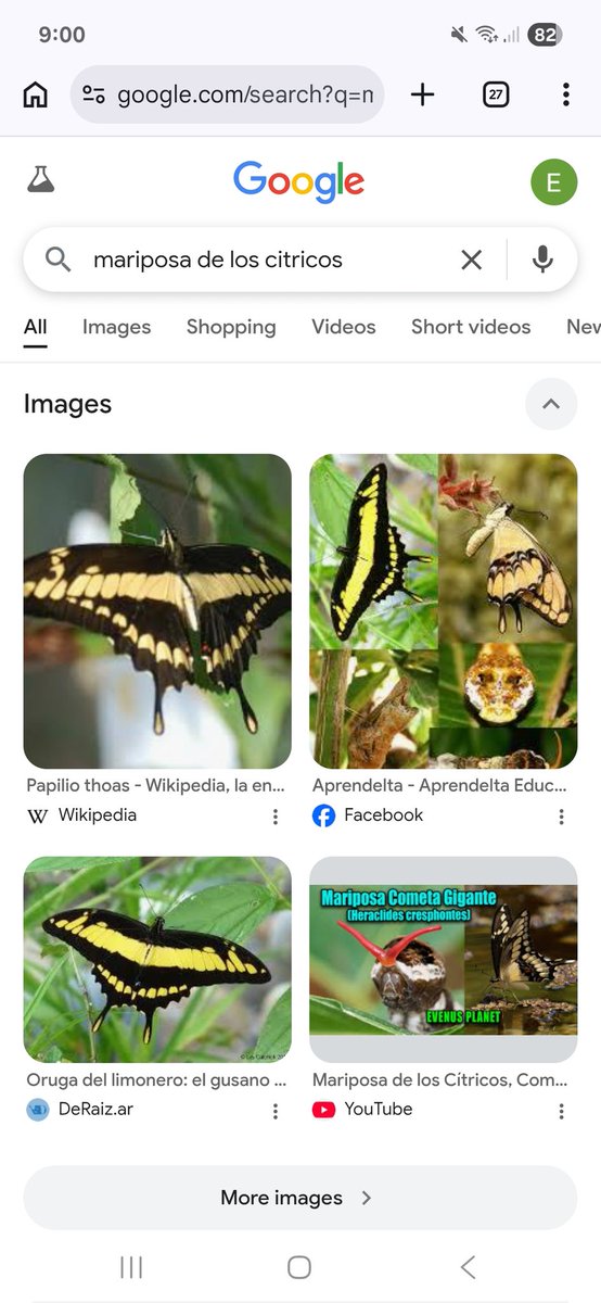 agrolapampa tweet media