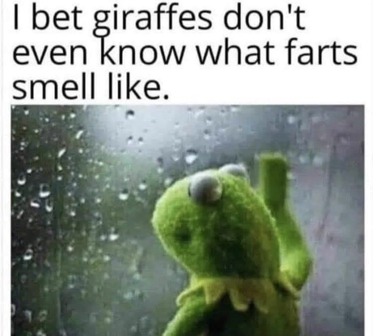 Lloyd Legalist tweet media