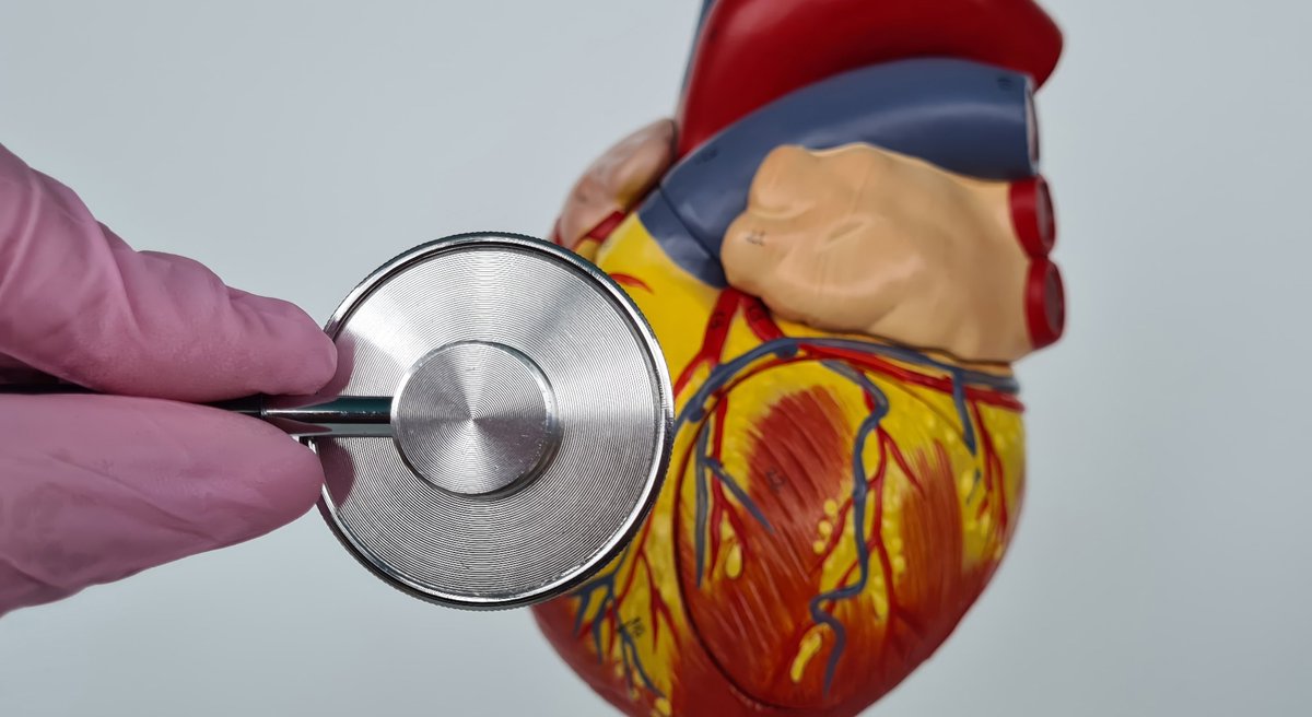 NewsMedical's tweet image. Obesity, sleep, smoking 🚬, and inactivity show the strongest links to high blood pressure - more than diet alone.  news-medical.net/news/20260402/… #HeartHealth #Hypertension