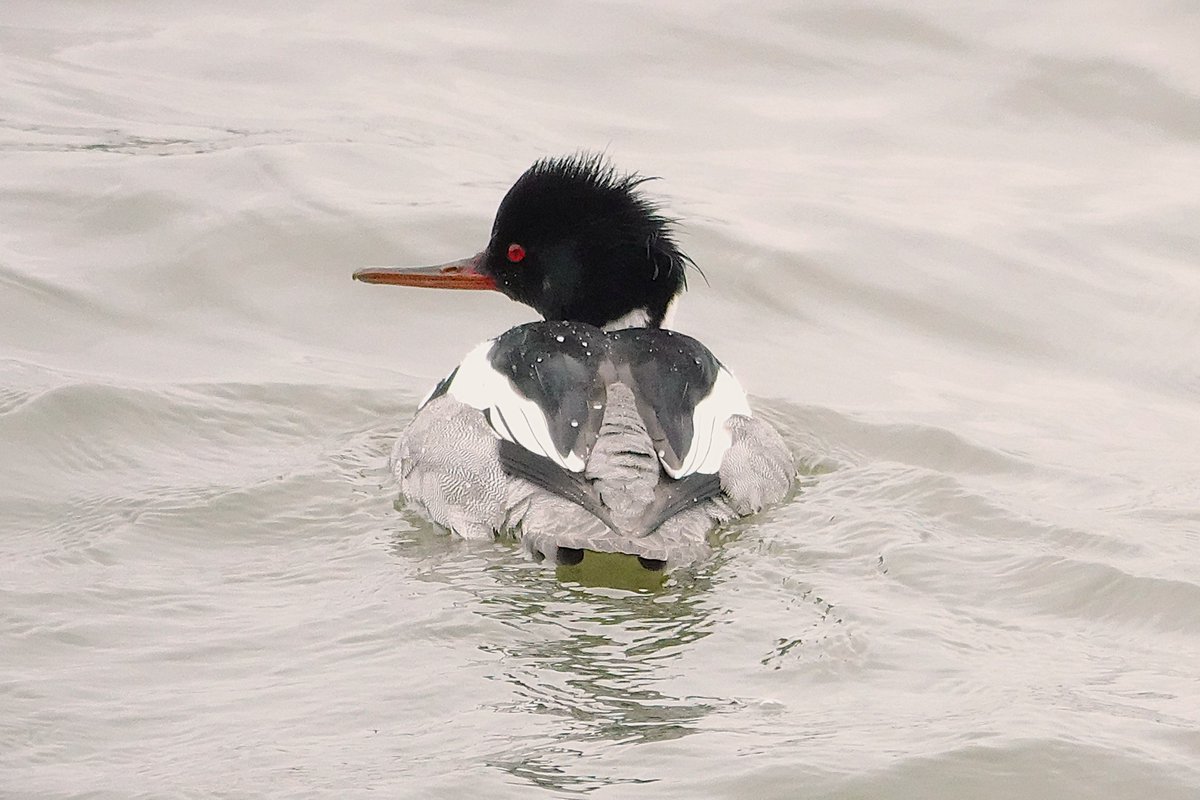 Dan Bright tweet media